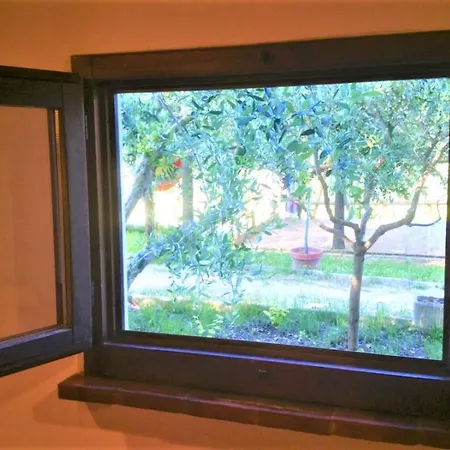 Apartment Alloggi Con Piscina Senigallia