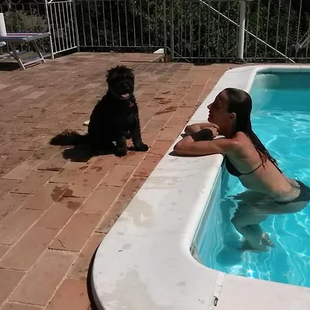 Alloggi Con Piscina *